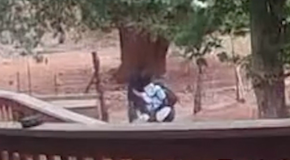 Tourist assaulted on Havasupai Reservation, suspect in custody