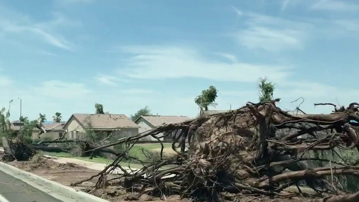 Avondale neighborhood recovering from consecutive severe storms, damage
