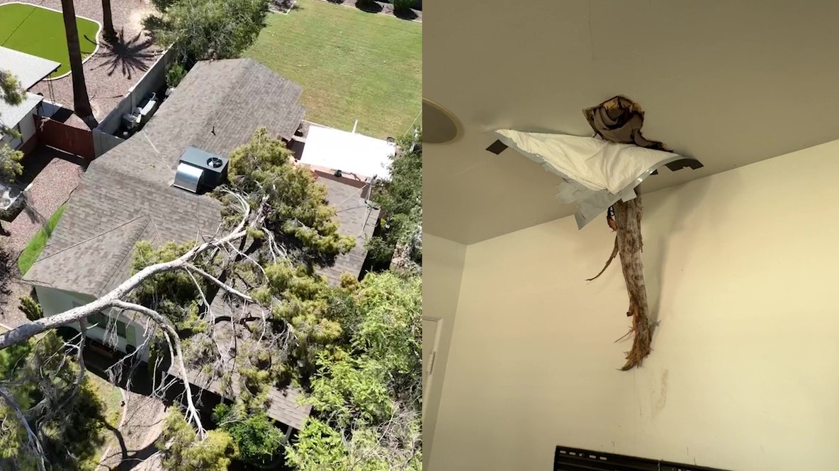Monsoon damage: Tree branch crashes through Phoenix home's roof during storm