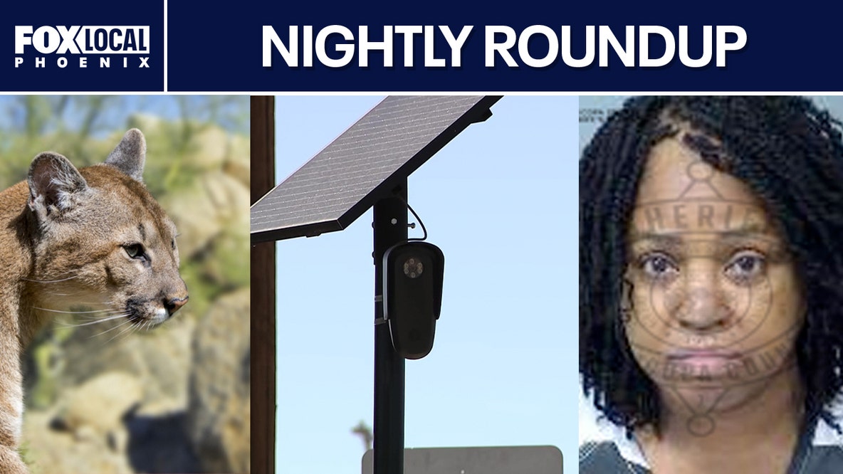Chandler halts Flock cameras; Mesa woman accused of killing husband | Nightly Roundup