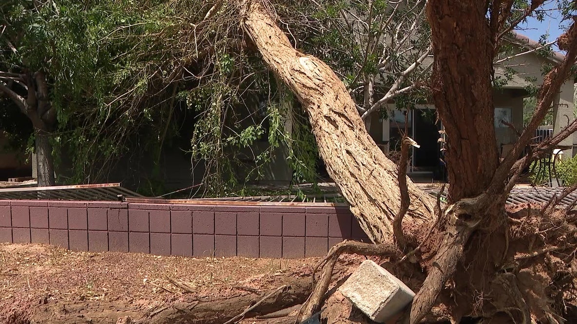 Monsoon: How to protect your home and avoid storm repair scams