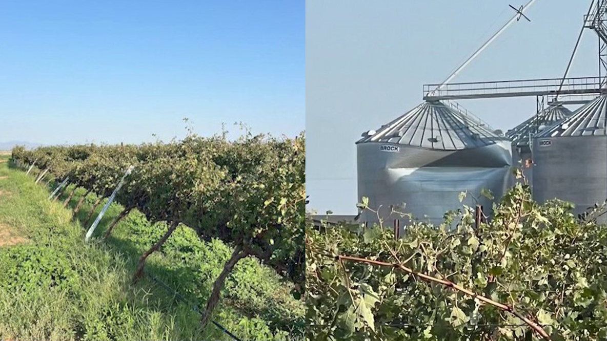 Arizona winery damaged by 88 mph winds and hail during severe storm