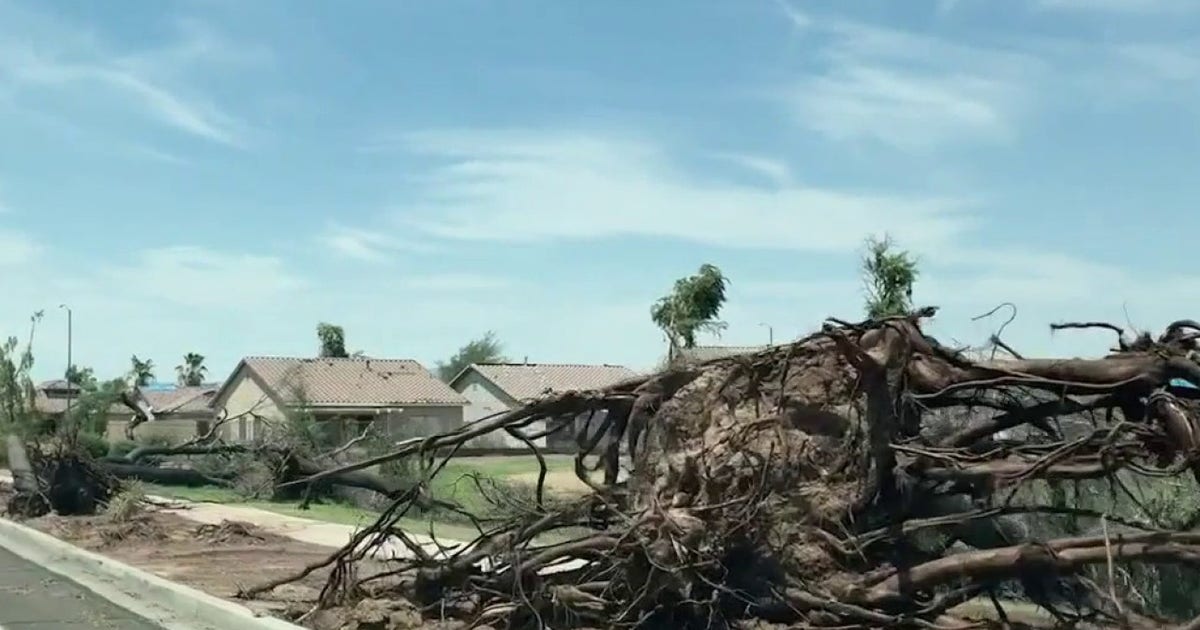 Avondale neighborhood recovering from consecutive severe storms, damage