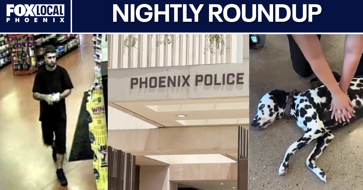From two Phoenix officers arrested, to a saloon brawl involving a mayor, and a pet CPR class, here's a look at your top stories on FOX10Phoenix.com for Saturday, August 22, 2026.