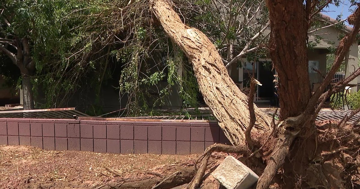 Monsoon: How to protect your home and avoid scams