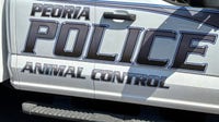 Man fatally stabs dog in Peoria
