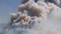 Coconino National Forest $4.2M restoration project targets wildfire and flood risks near Flagstaff