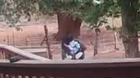 Tourist assaulted on Havasupai Reservation, suspect in custody