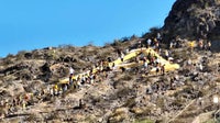 ASU freshmen, alumni gather to paint 'A' Mountain