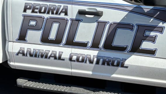 Peoria man stabs, kills loose dog during neighborhood walk