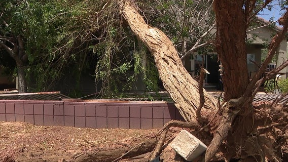 Monsoon: How to protect your home and avoid storm repair scams