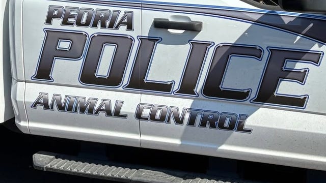 Peoria man stabs, kills loose dog during neighborhood walk