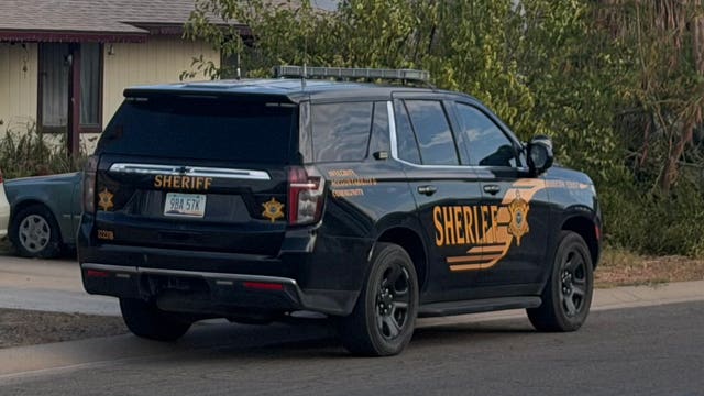 Dead cats found at a home as Maricopa County Sheriff's Office investigates