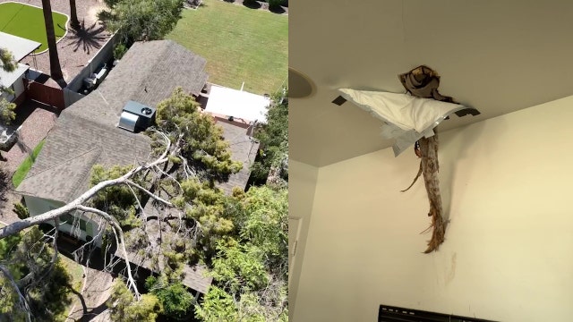 Monsoon damage: Tree branch crashes through Phoenix home's roof during storm