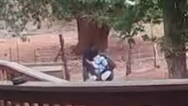 Tourist assaulted on Havasupai Reservation, suspect in custody