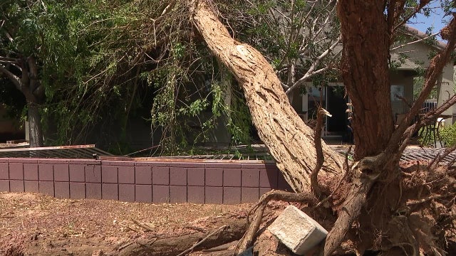Monsoon: How to protect your home and avoid storm repair scams