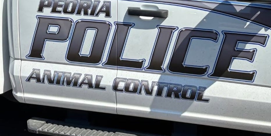 Peoria man stabs, kills loose dog during neighborhood walk
