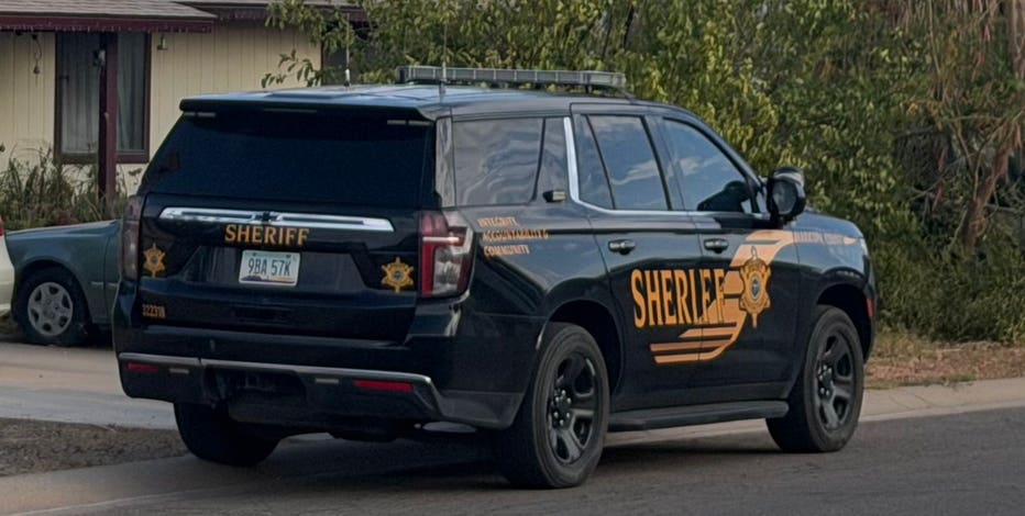 Dead cats found at a home as Maricopa County Sheriff's Office investigates