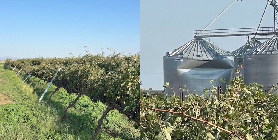 Arizona winery damaged by 88 mph winds and hail during severe storm