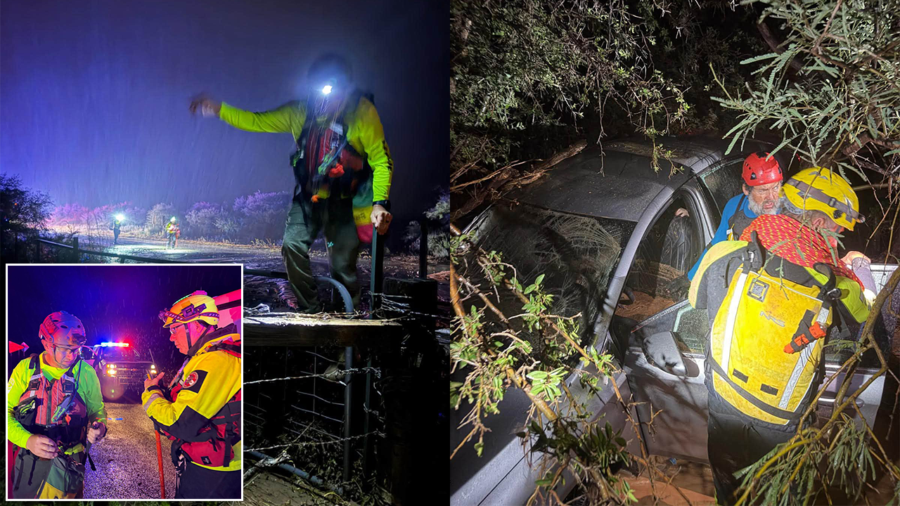 Out on a limb! Elderly Arizona couple rescued after raging flood sweeps their car into a tree