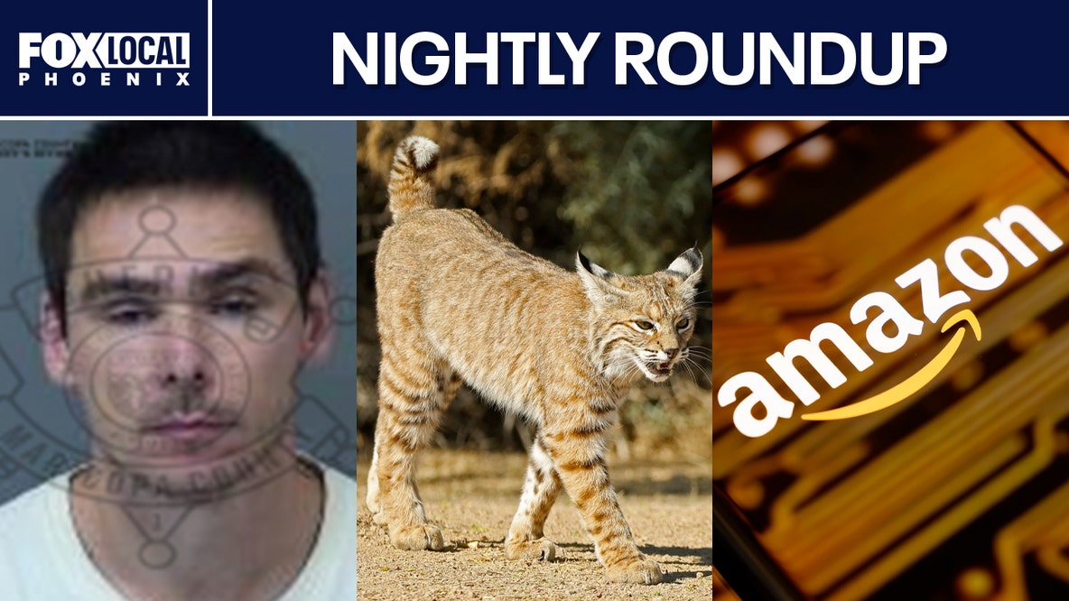 Rabid bobcat shot in Arizona; Phoenix teacher placed on leave | Nightly Roundup
