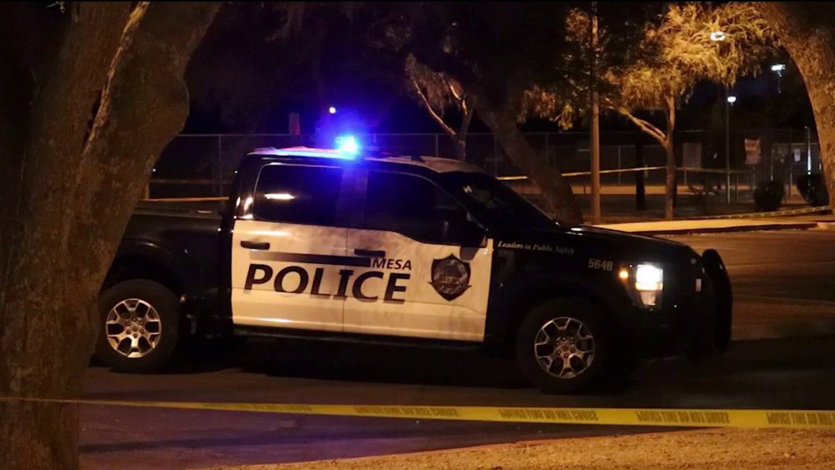 Man stabbed during fight at Mesa park: PD