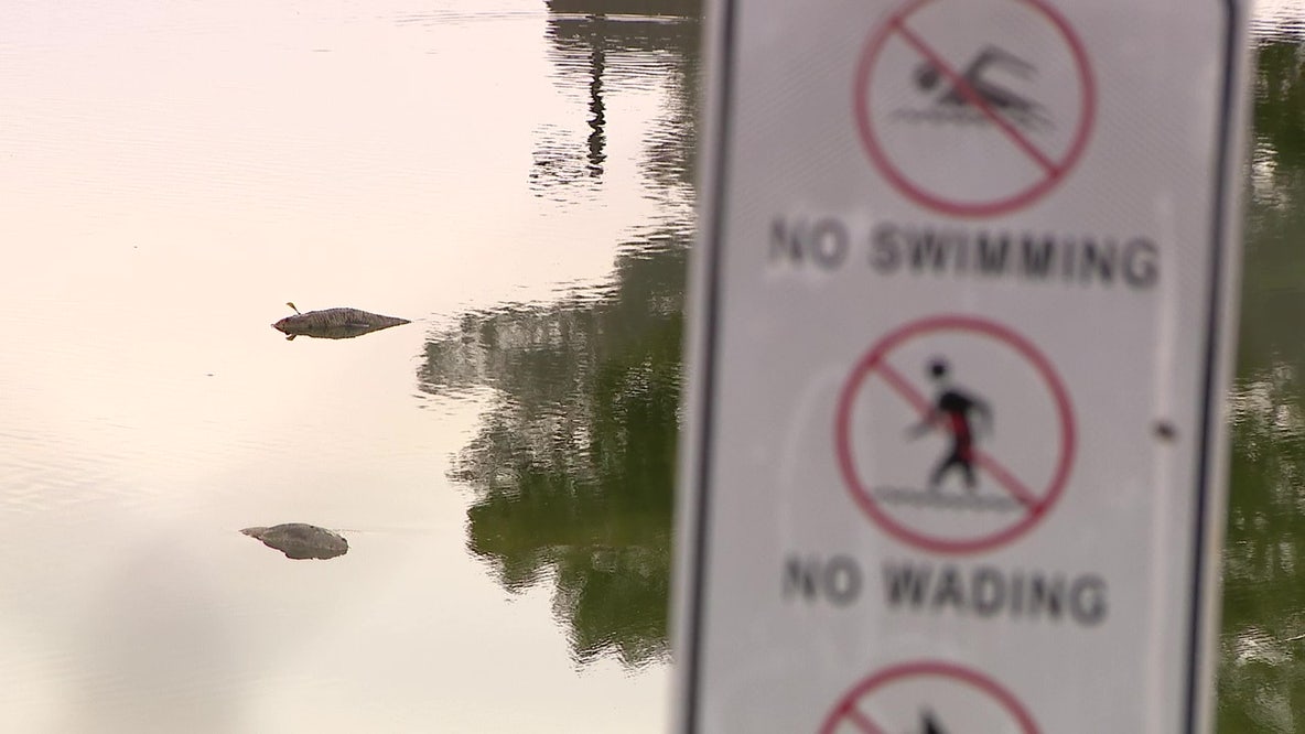 Gilbert park renovation criticized after residents report dead animals, foul smells