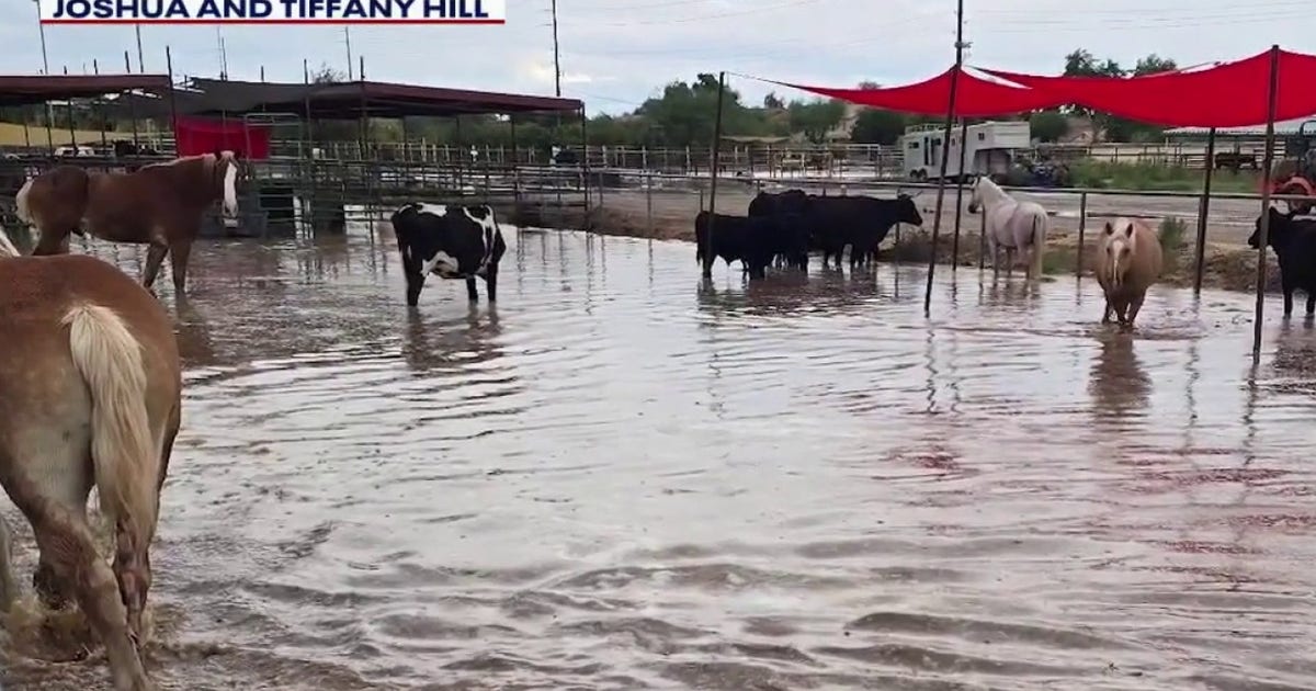San Tan Valley farm flooded by severe storms