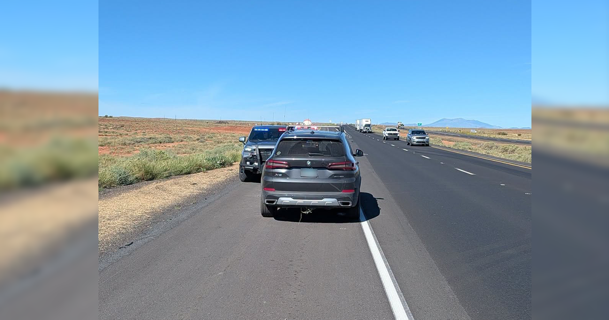 A driver intentionally traveling the wrong-way on an Arizona interstate told police he was the “supervisor" of a dangerous highway game.