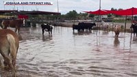 San Tan Valley farm flooded by severe storms