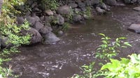 Oak Creek trails reopen north of Sedona after Pocket Fire closures