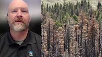 Grand Canyon flash floods expose concerns over rushed reopening post-fire