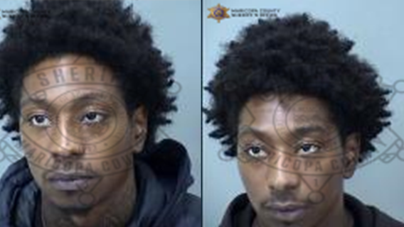 Twin TikTok stars busted in underage prostitution sting at Goodyear dog park