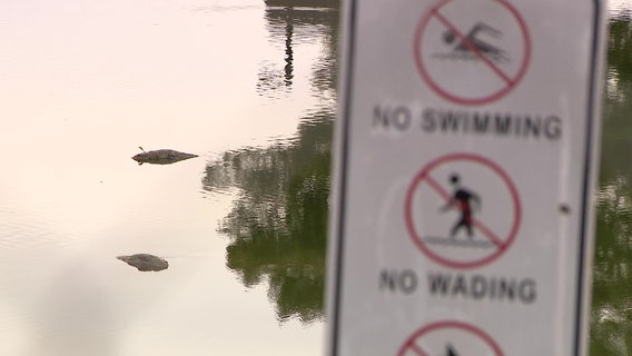 Gilbert park renovation criticized after residents report dead animals, foul smells