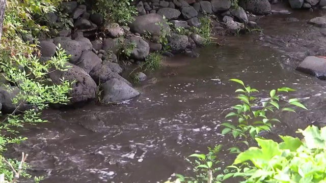 Oak Creek trails reopen north of Sedona after Pocket Fire closures