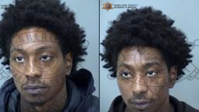 Twin TikTok stars busted in underage prostitution sting at Goodyear dog park