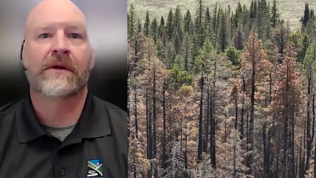 Grand Canyon flash floods expose concerns over rushed reopening post-fire