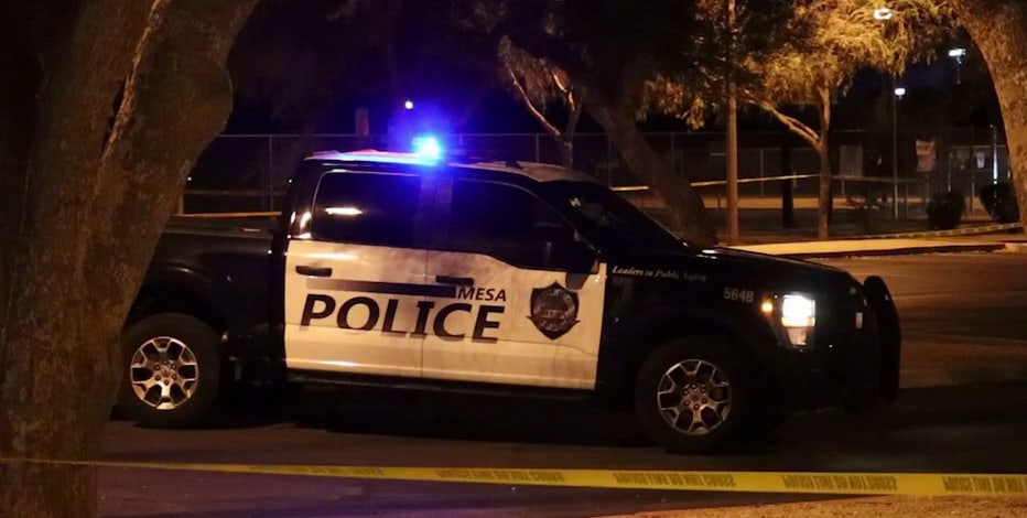 Man stabbed during fight at Mesa park: PD