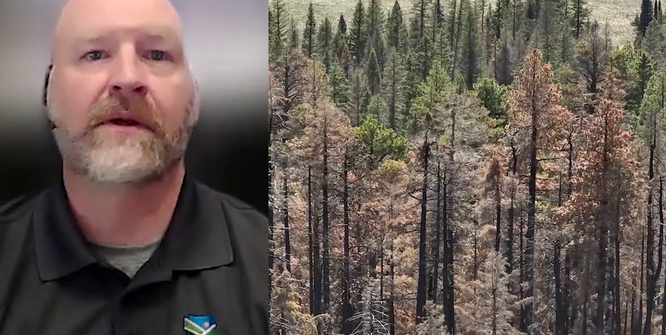 Grand Canyon flash floods expose concerns over rushed reopening post-fire