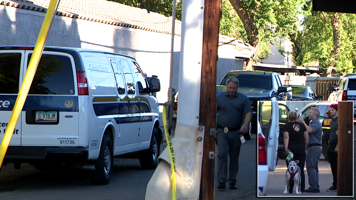 Phoenix driver shot dead behind wheel, suspect caught in nearby apartment