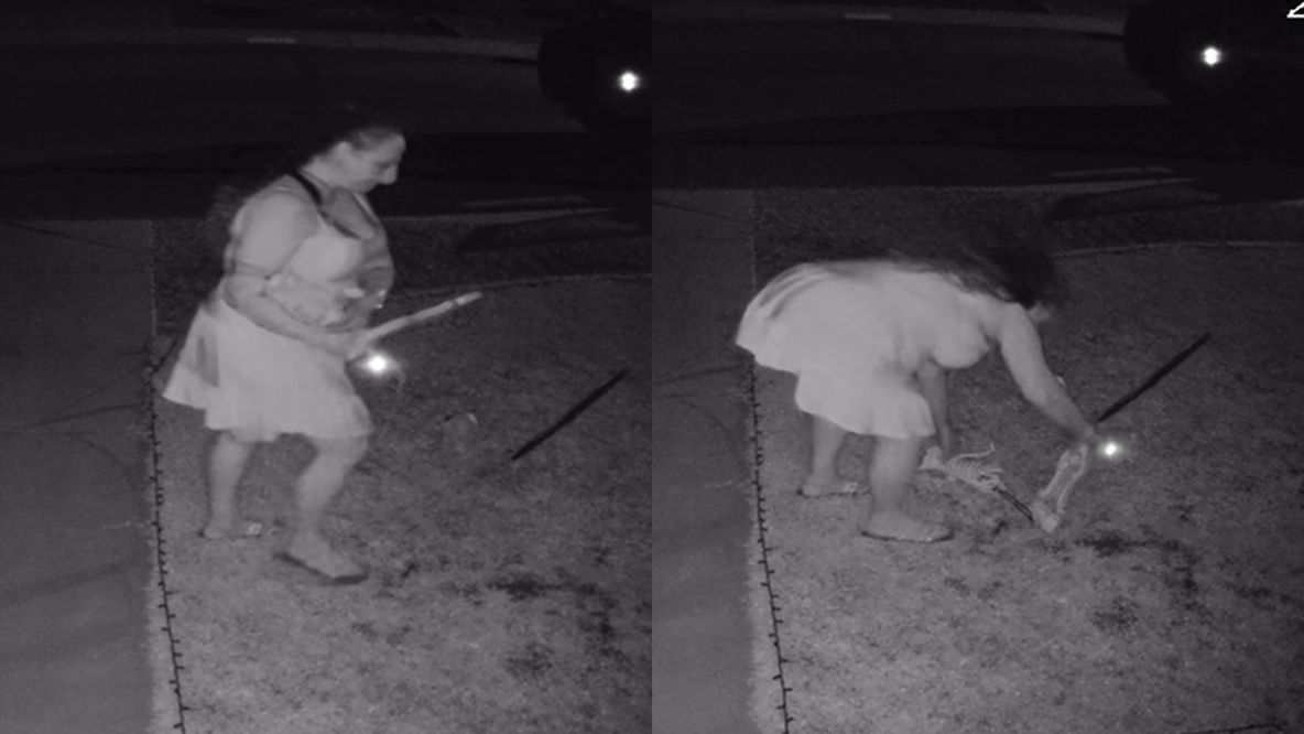 Woman caught on camera swiping Halloween yard decorations in Surprise