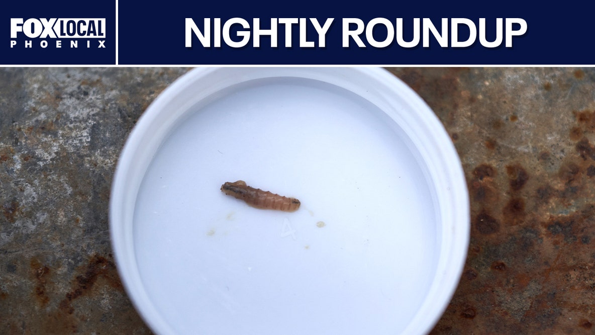 New World screwworm in Arizona dog; major storms forecast | Nightly Roundup