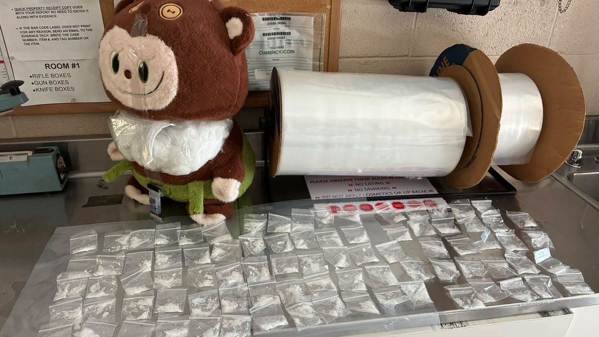 Cops checking on child home alone find 84 meth bags hidden in viral toy monster, arrest Arizona woman