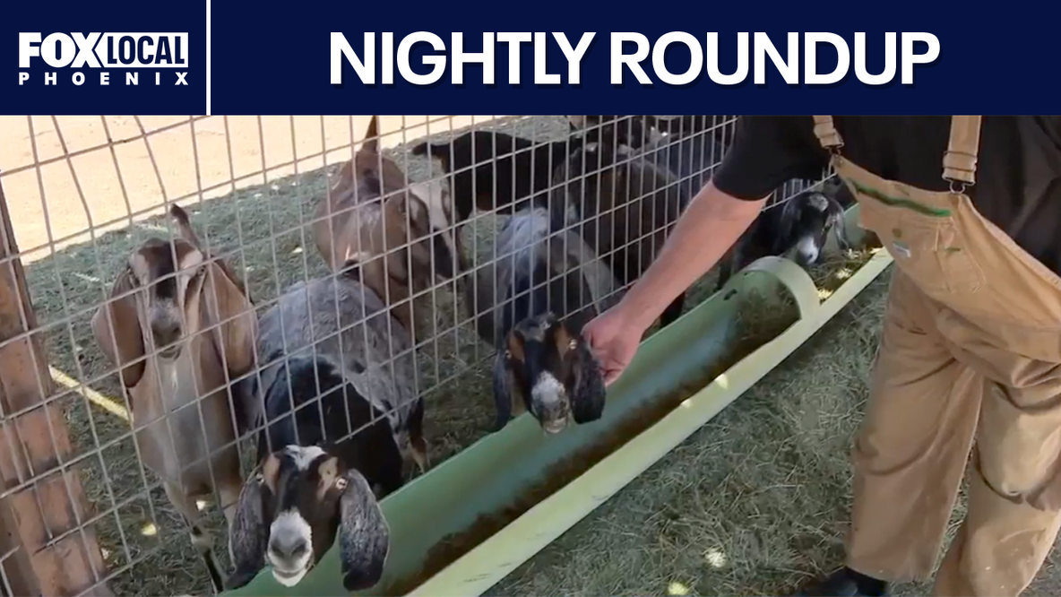 Arizona passes Cade's Law; dogs allegedly attack Rainbow Valley farm | Nightly Roundup