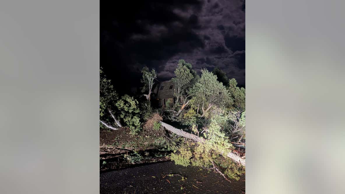 National Weather Service confirms EF1 tornado in Navajo County following severe storms