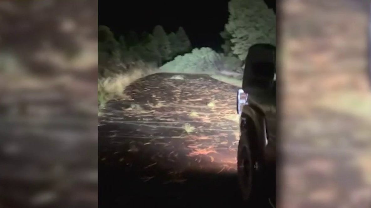 Heber storm damage prompts call for Arizona state of emergency declaration