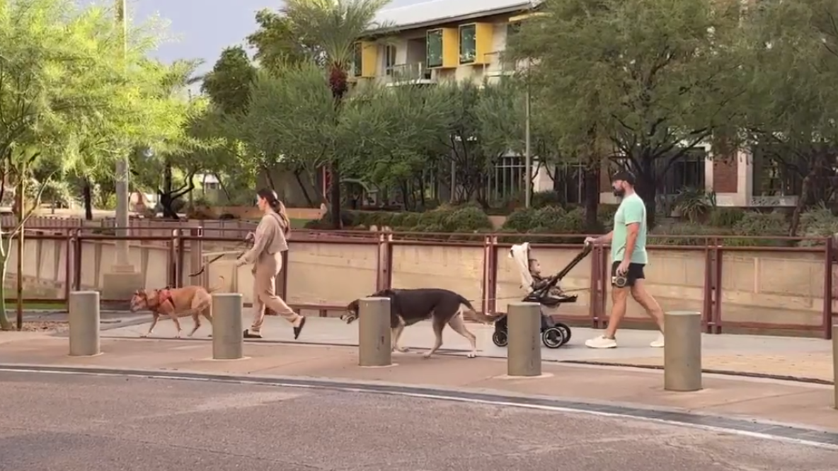 Phoenix rain brings relief from triple-digit heat for residents and pets