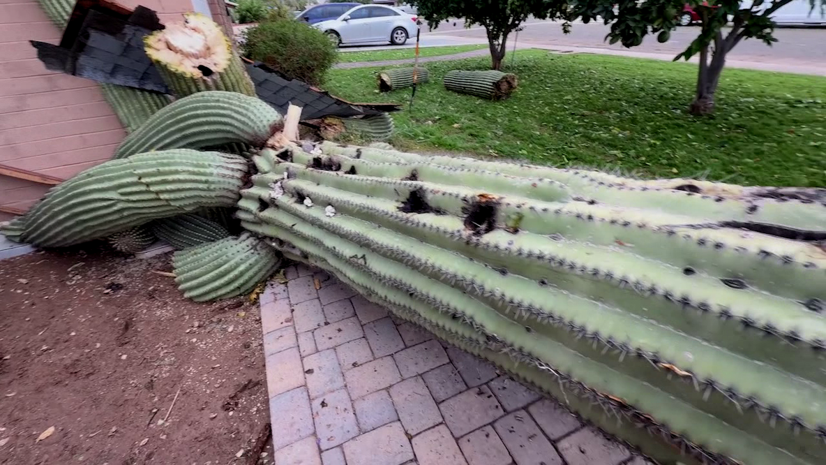 North Phoenix storm cleanup begins as residents face hail damage