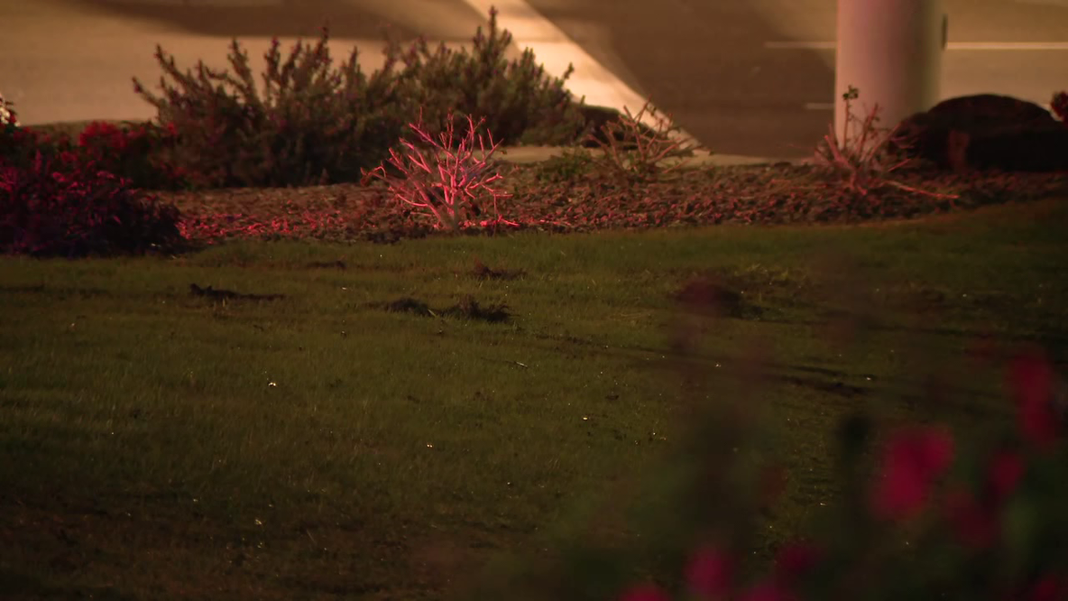 Car crashes into Surprise pond, driver rescued by police