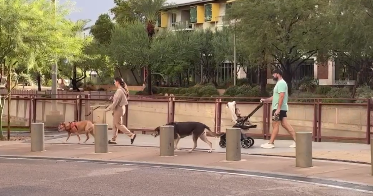 Phoenix rain brings relief from triple-digit heat for residents and pets